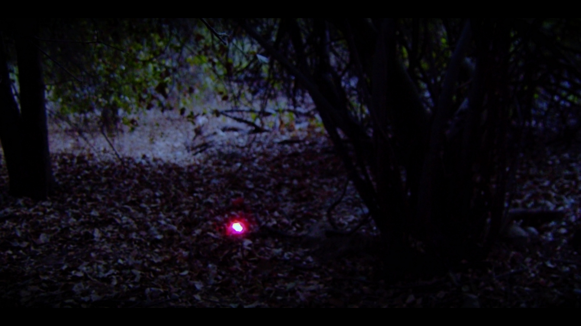 Glamour (The Subscription, 2024) &mdash; screenshot