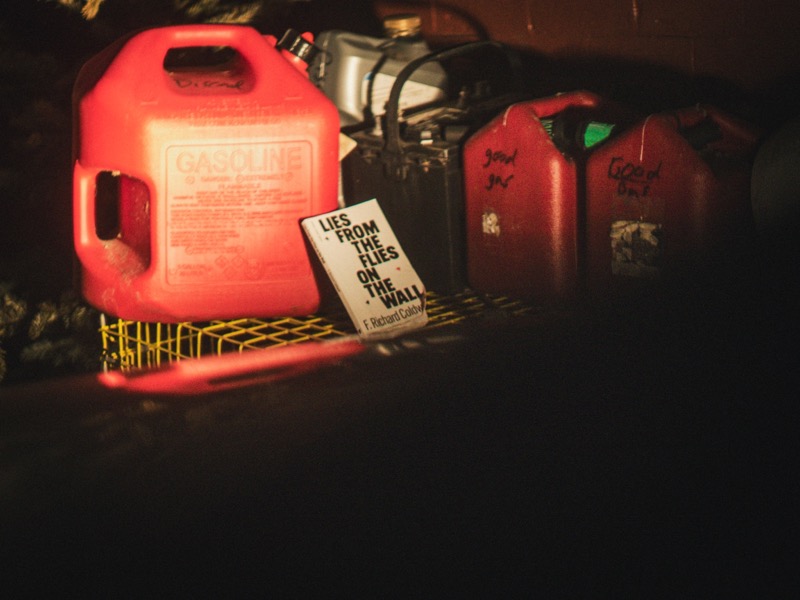 Substack post thumbnail &mdash; Book Rec: Lies From the Flies on the Wall